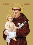  Anthony of Padua, saint