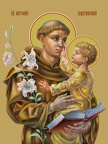  Anthony of Padua, saint