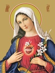  Sacred Heart of Mary