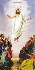 The Ascension of the Lord