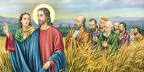 Jesus in the rye