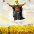 thumb_2531-sporitelnitsa-khlebov.jpg